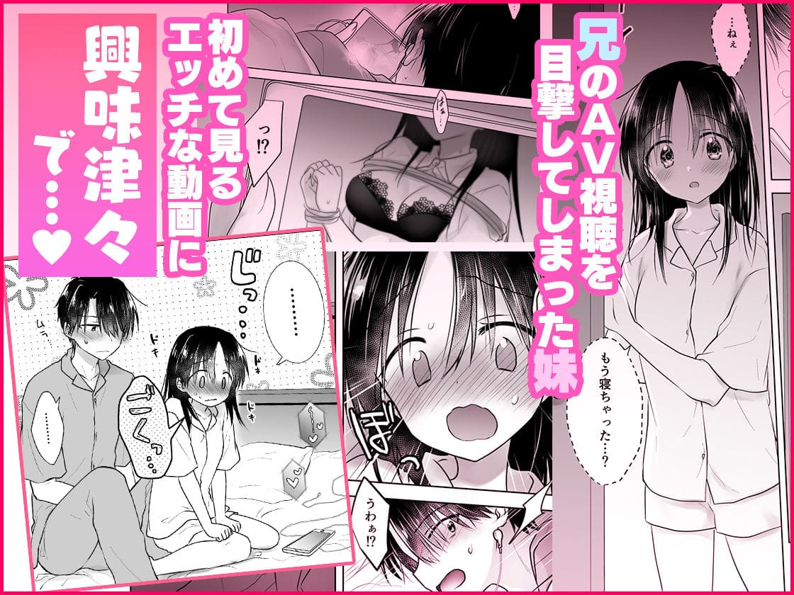 「妹とAV見る」シリーズ完結まとめ本のビジュアル画像